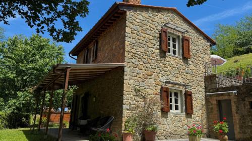 Anfora — Pescia