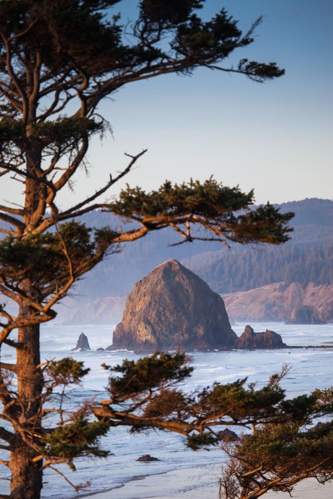 Inn at Cannon Beach - photo 50
