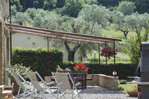 Case&Colline La Mimosa — Montescudaio — photo 4