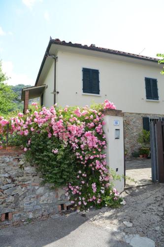Casa1 — hotel in Monsummano Terme