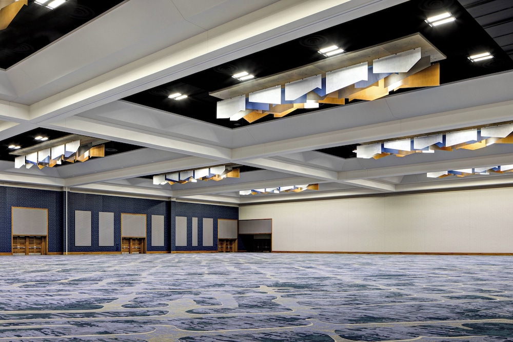 Gaylord Rockies Resort & Convention Center - photo 85