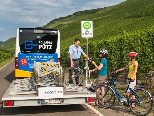 Ferienhaus Am Moselstausee - carbon neutral hotel in Unknown City