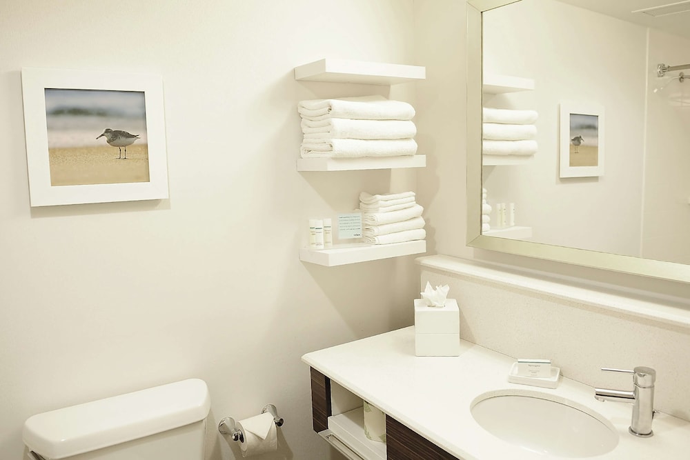 DoubleTree by Hilton Sterling Dulles Airport - photo 29