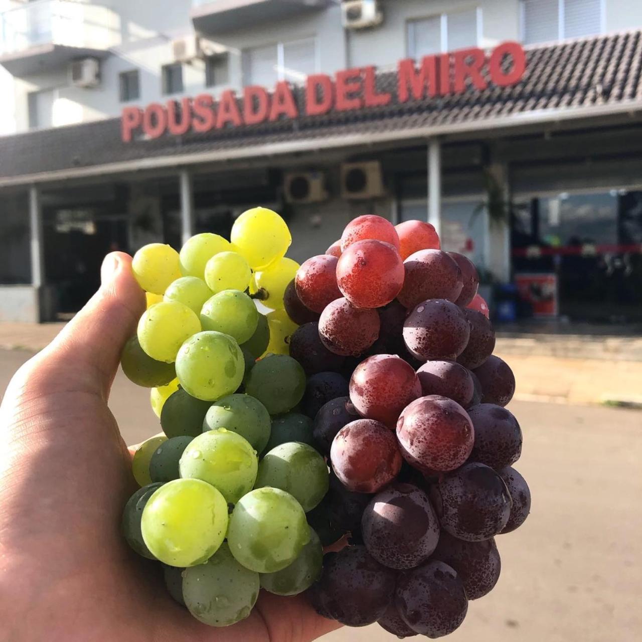 Pousada E Restaurante Del Miro — Caxias Do Sul — photo 3
