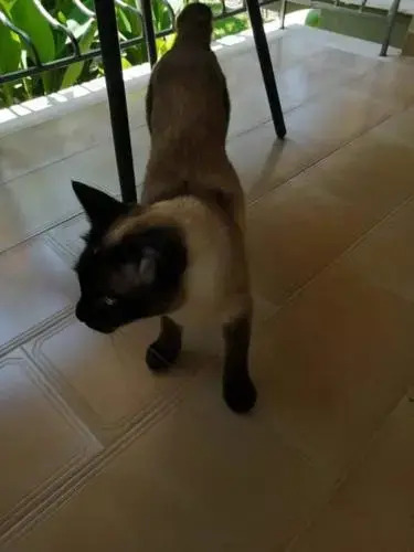 Studios Katerina in Periyiali, Greece