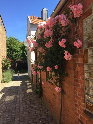Ferienhaus Sprottenfang in Eckernfoerde, Germany