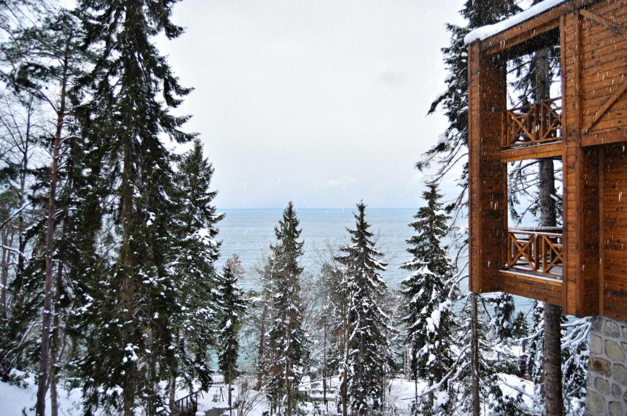 Hancioglu Camburnu Orman Evleri & Otel — Trabzon — photo 4