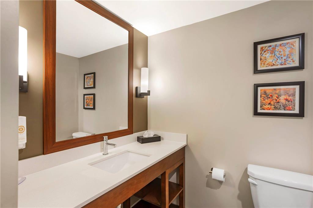 Comfort Inn & Suites Gap Amish Country - photo 15