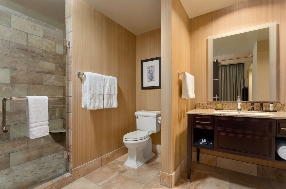 Embassy Suites by Hilton Salt Lake West Valley City - photo 46