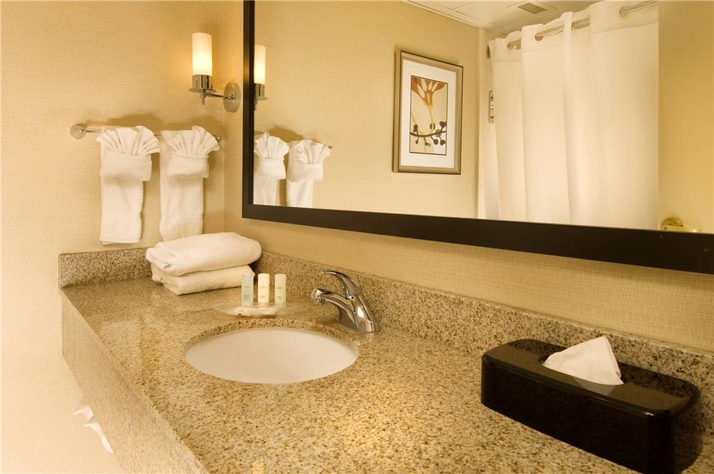 Comfort Suites Dulles Airport - photo 14