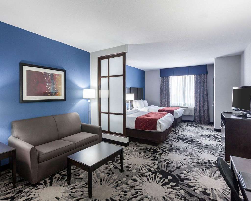Comfort Suites Greenville - photo 20