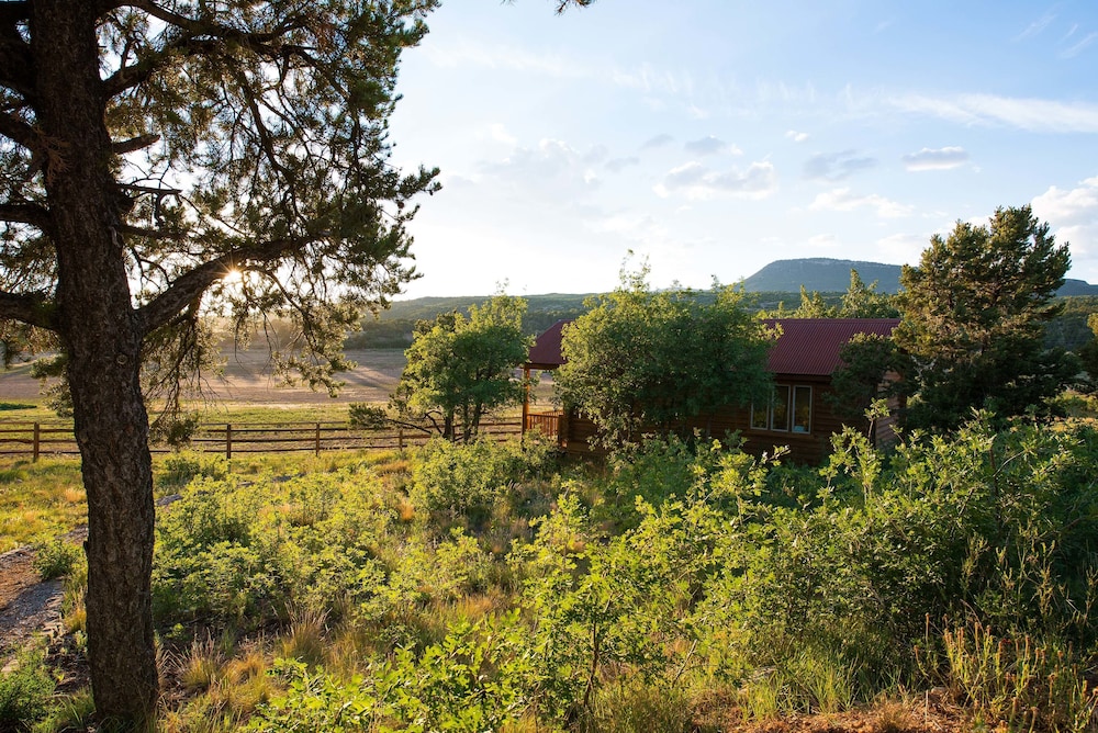 Zion Mountain Ranch - photo 27