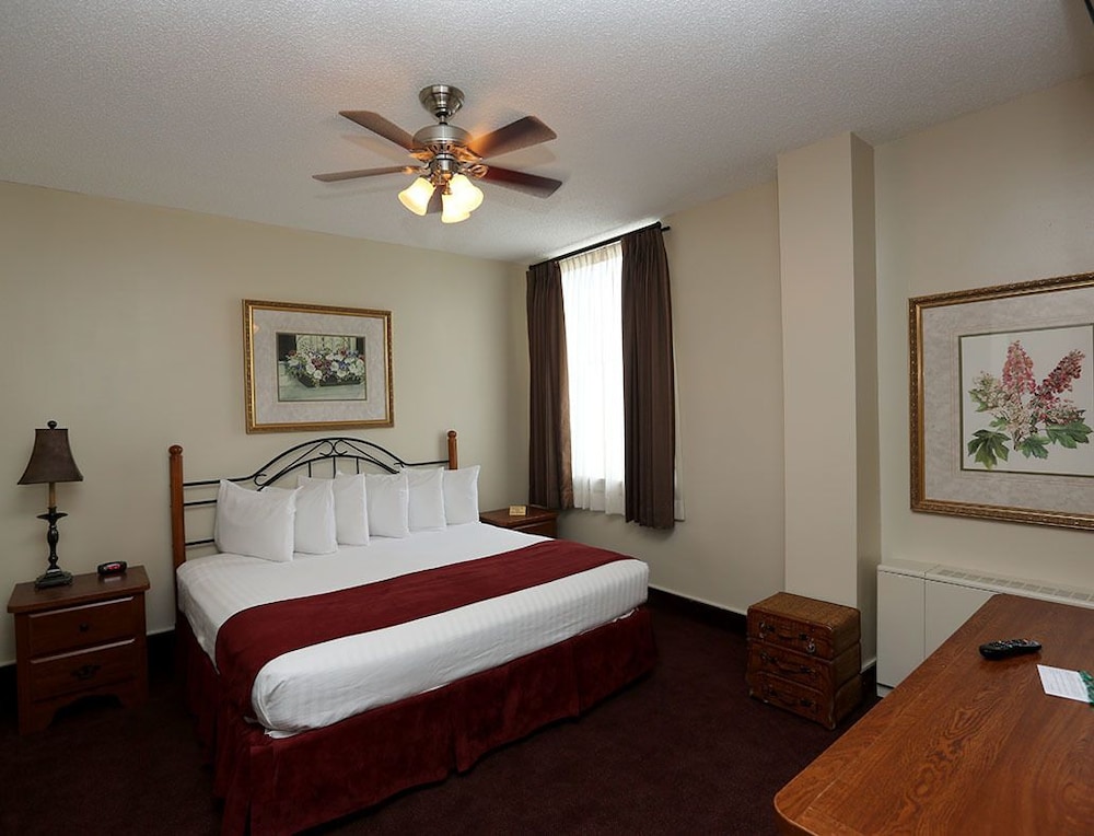 Arrow Hotel - photo 6
