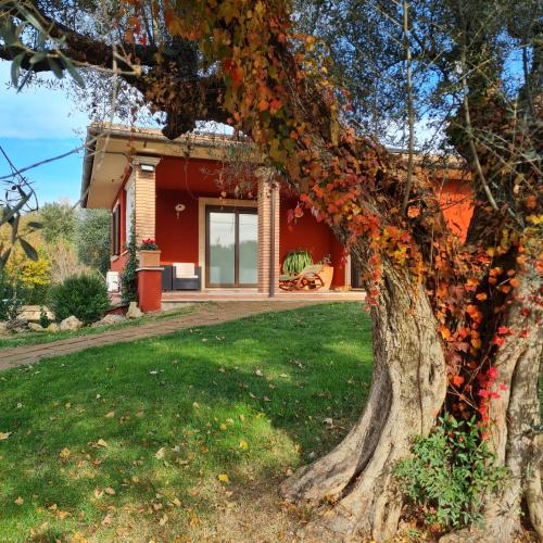 Selva Castalda in Tuscania, Italy