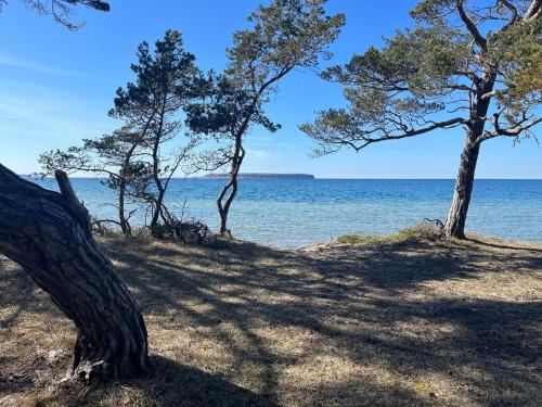 Fröjel Resort & Spa — Klintehamn — photo 5