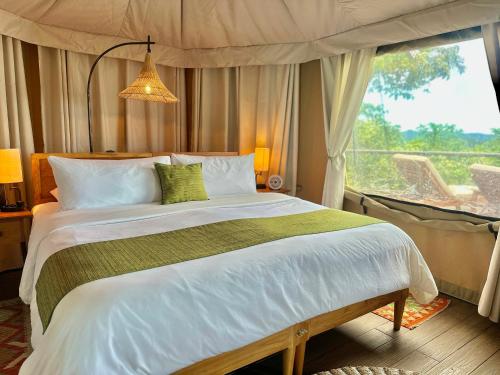 Palau Carolines Resort — Koror — photo 3