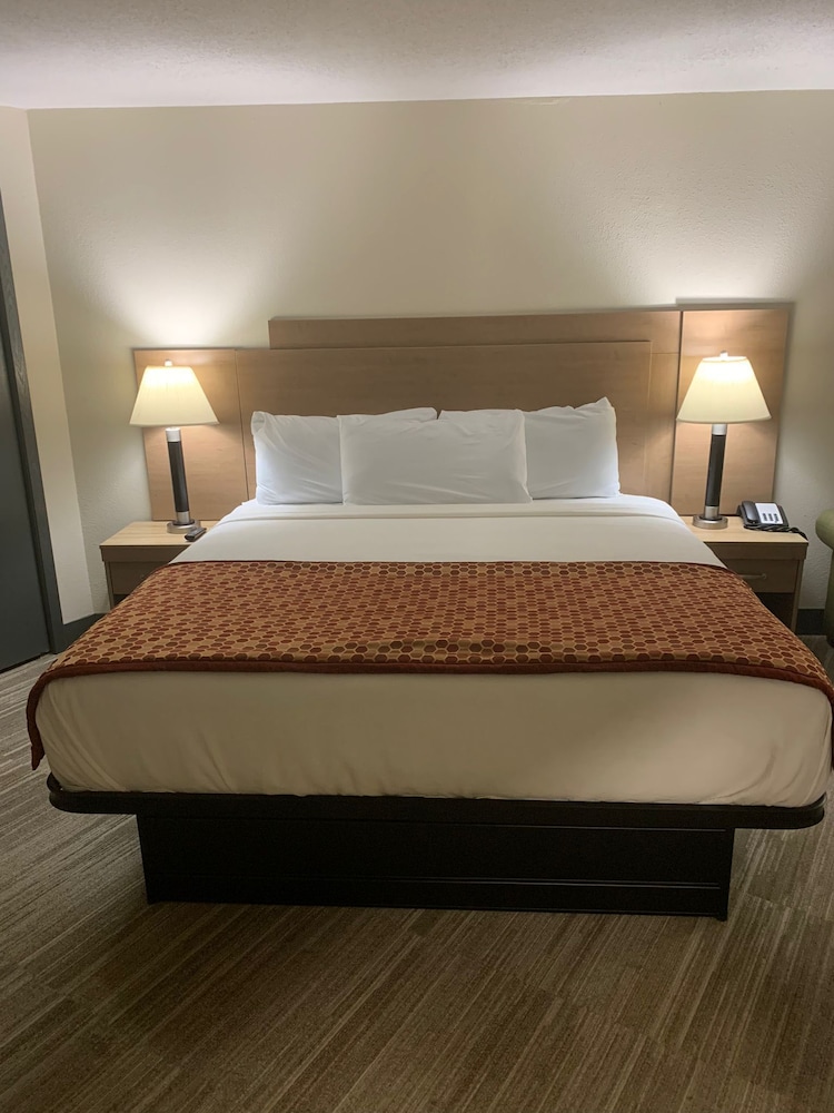 Econo Lodge Inn and Suites Stevens Point WI - photo 10