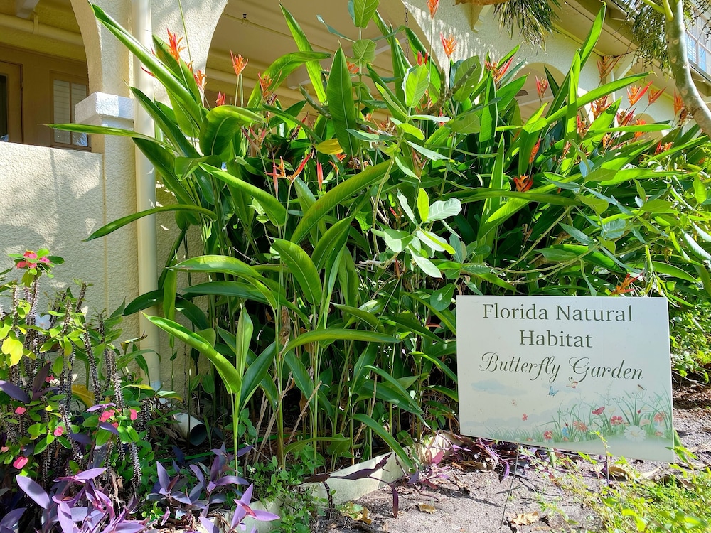 Crystal Bay Historic Hotel - photo 137
