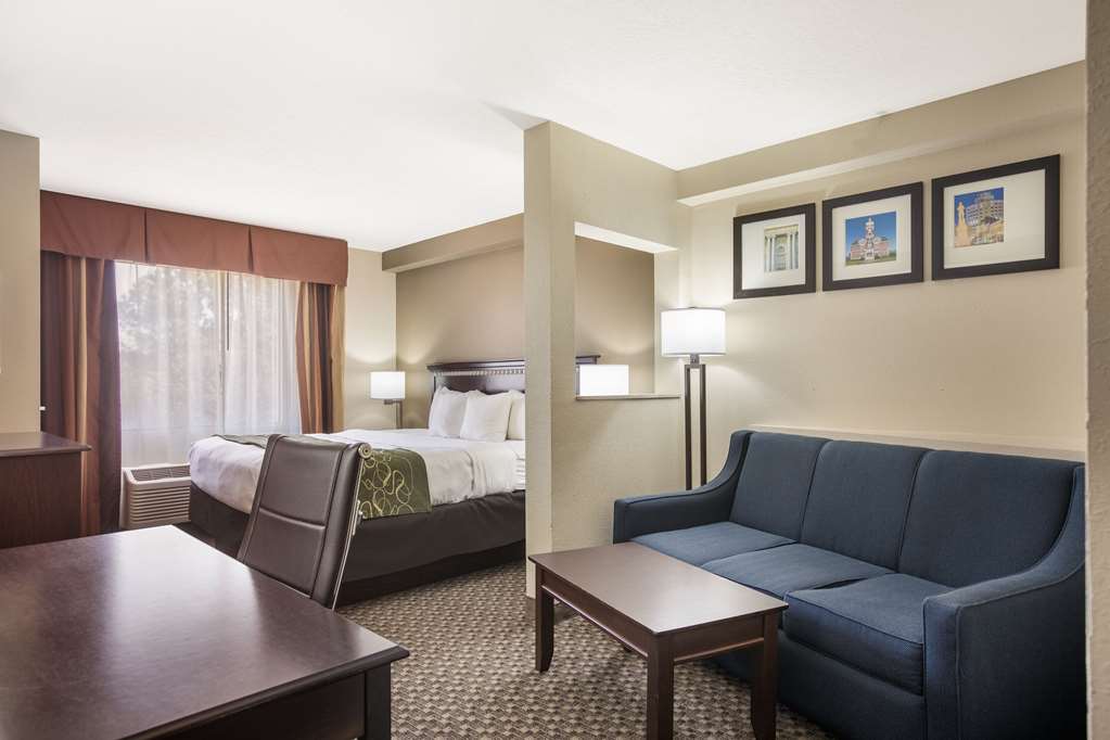 Comfort Suites Forsyth near I 75 - photo 25