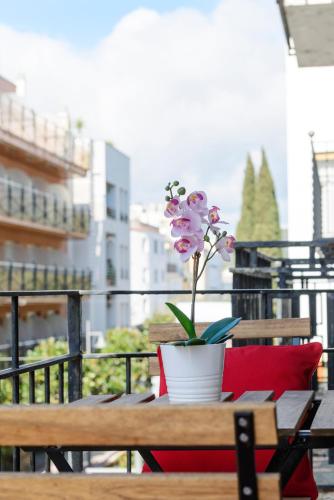NS Apartaments — 4-Star Luxury Hotel in Tossa De Mar, Spain