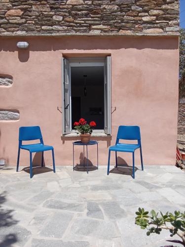 Blue Agave - carbon neutral hotel in Unknown City