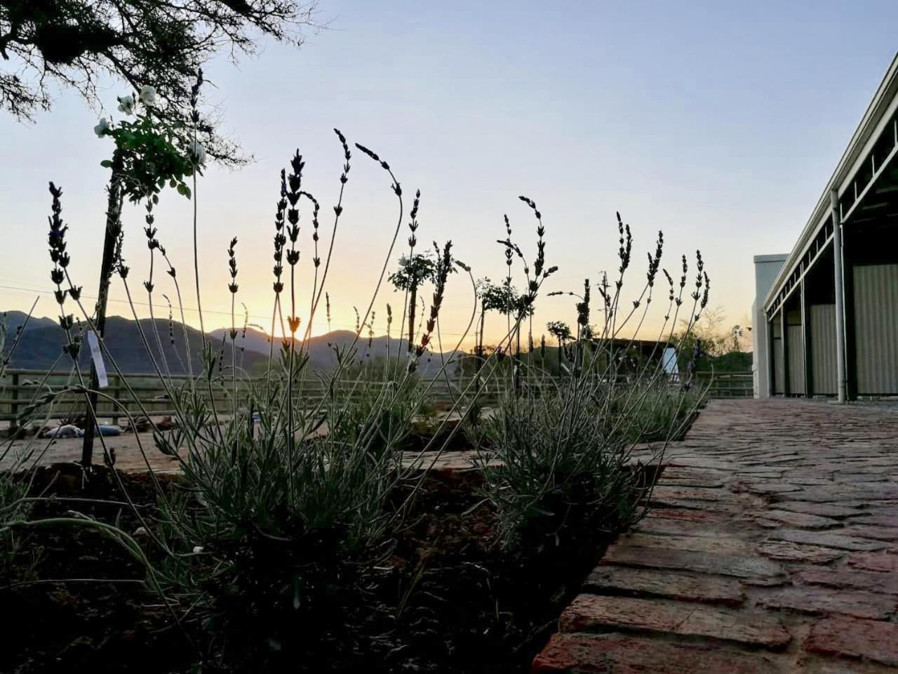 De Rustica Stable Stay in De Rust, South Africa