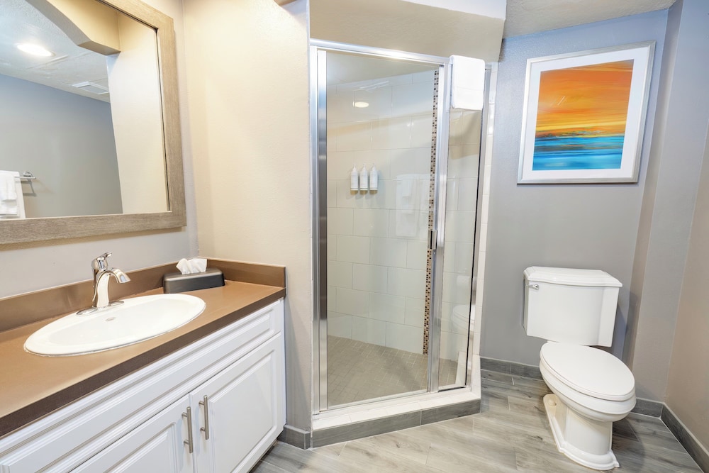 WorldMark Orlando Kingstown Reef - photo 16
