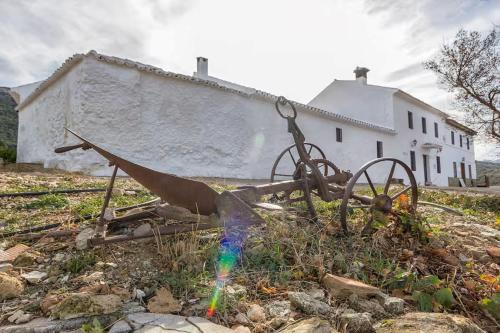 Cortijo Borreguero — hotel in Villanueva Del Trabuco