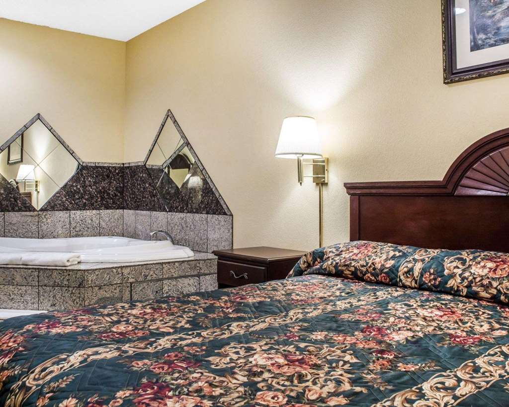 Econo Lodge Inn & Suites North Syracuse Airport - photo 8