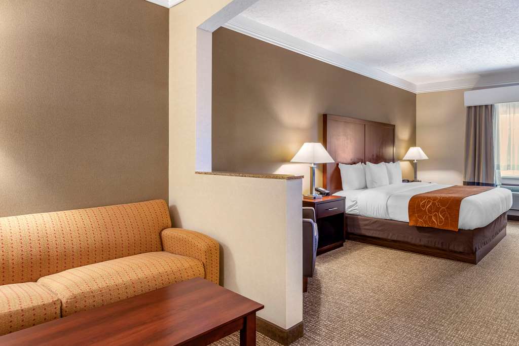 Comfort Suites Linn County - photo 5