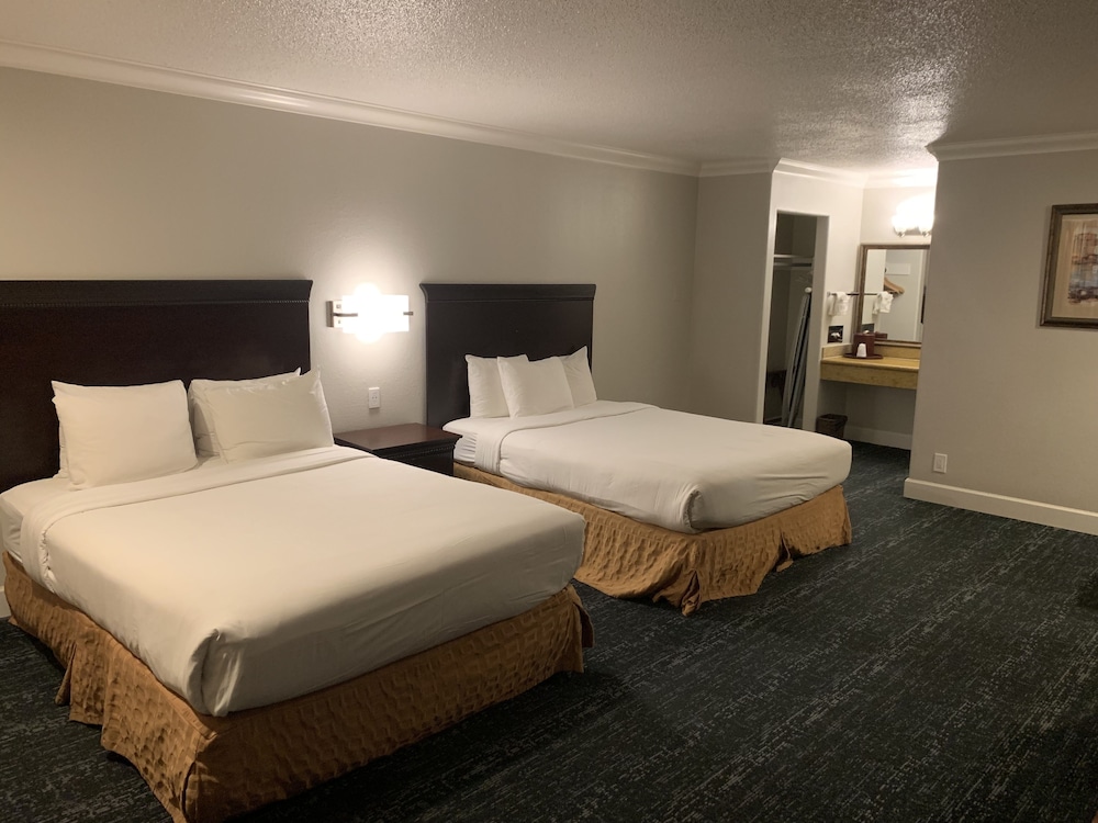 Stargazer Hotel - photo 14