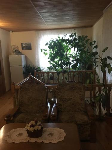 Mini hotel Oasis — Kolomyia — photo 5