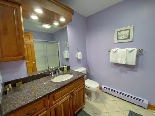 P5 Ski in Ski out rare find Presidential View single family with garage pool table ping pong - photo 32