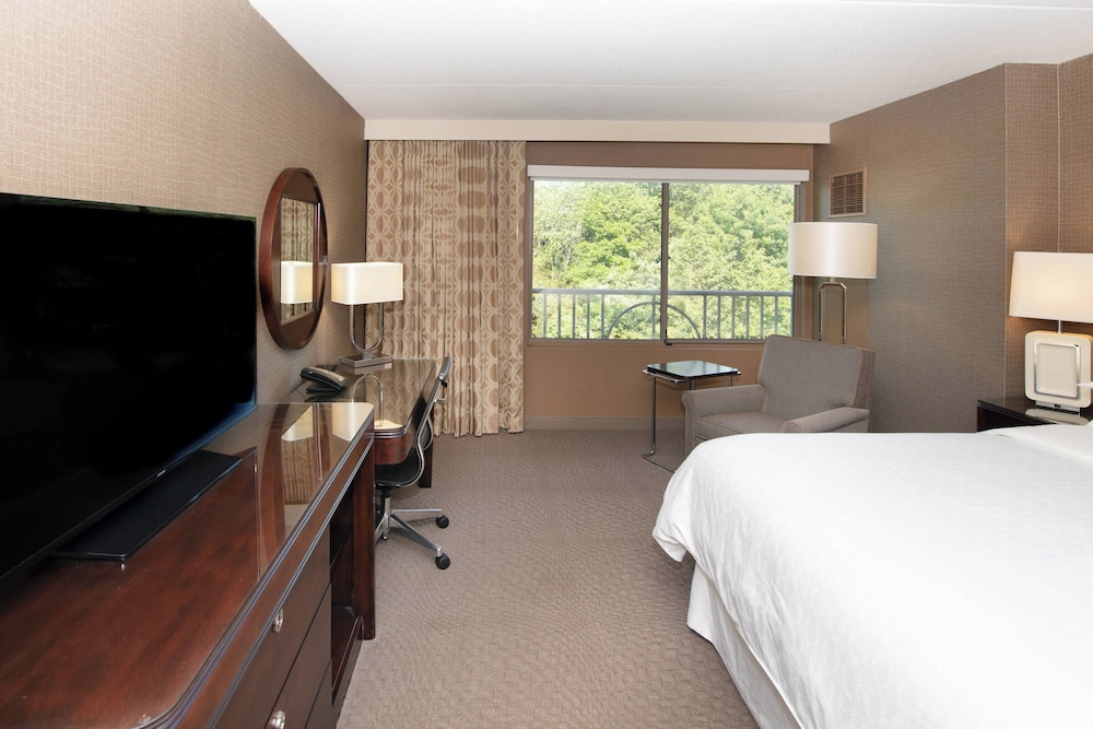 Sheraton Hartford South Hotel - photo 19