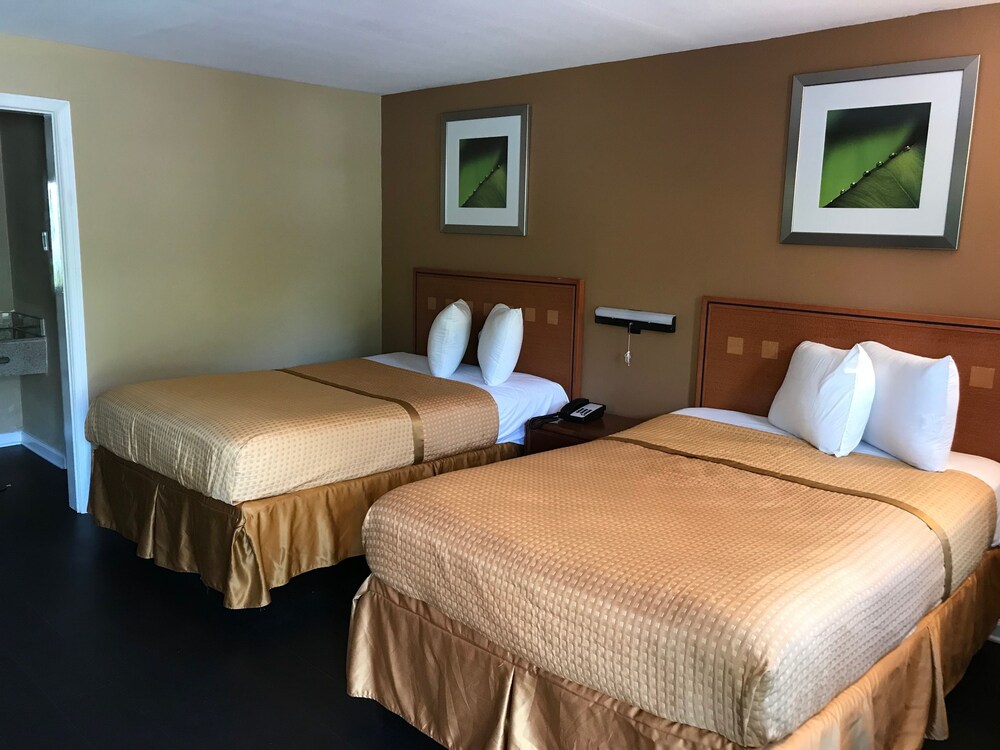 OYO Hotel Tallahassee Downtown - photo 4