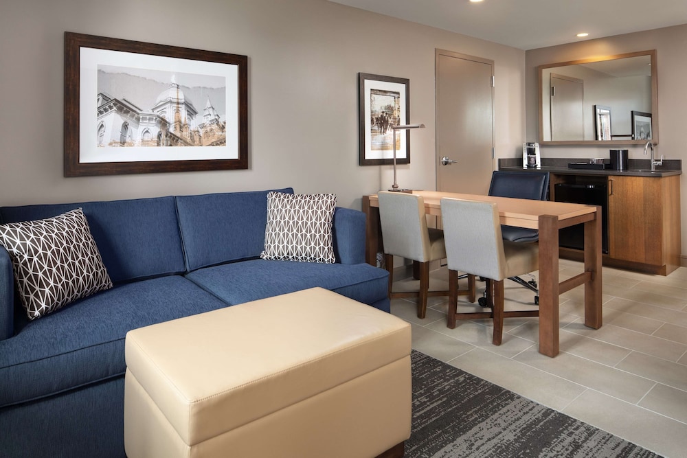 Embassy Suites by Hilton South Bend at Notre Dame - photo 14