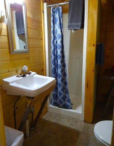 Robinson's Cottages - photo 42