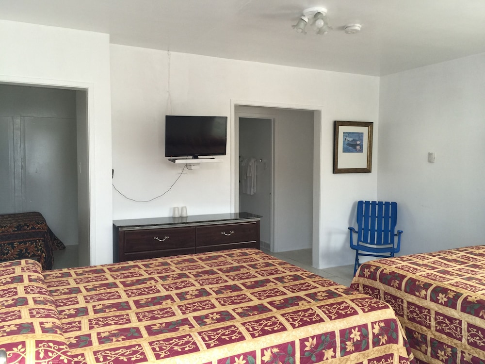 Palm Motel - photo 6