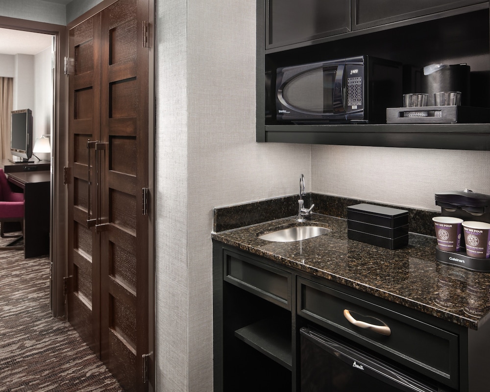 Embassy Suites by Hilton Crystal City National Airport - photo 28