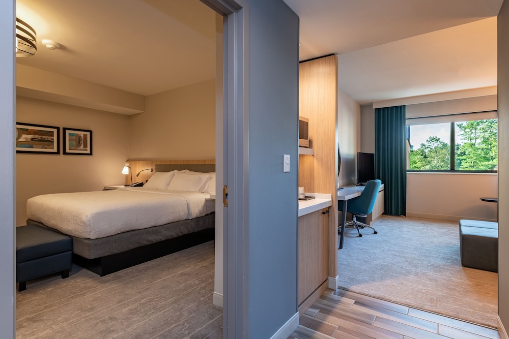 Hilton Garden Inn Boston Canton - photo 9