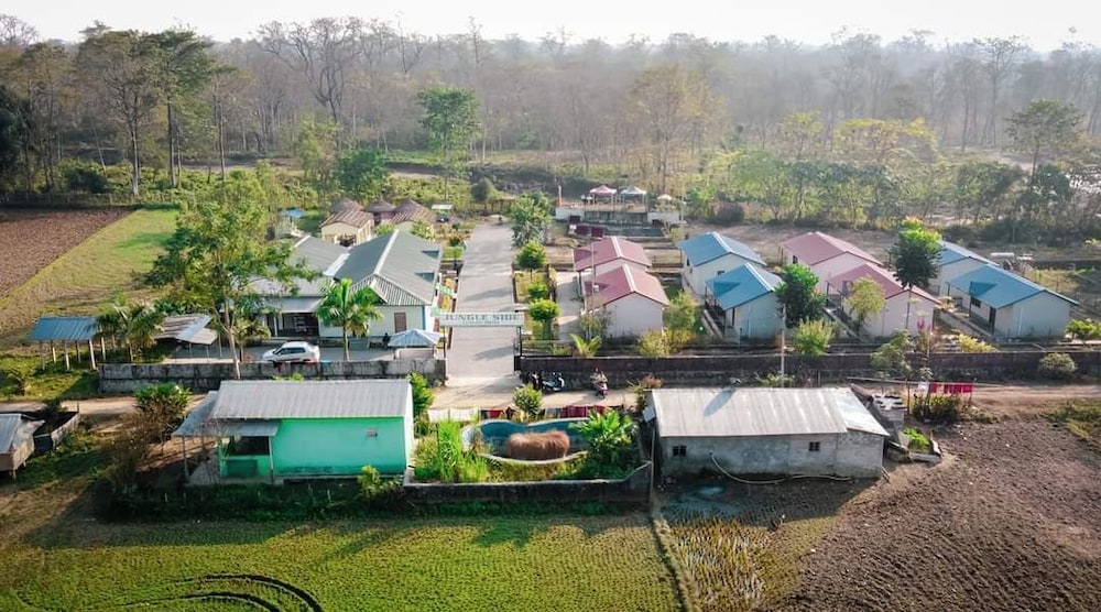 Jungle Side Luxury Hotel in Unknown City, Nepal
