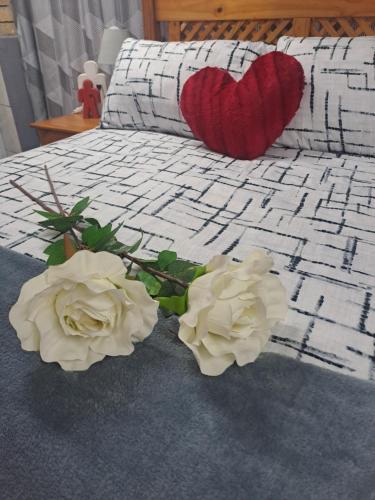 Vuurpyl Accommodation in Klerksdorp, South Africa