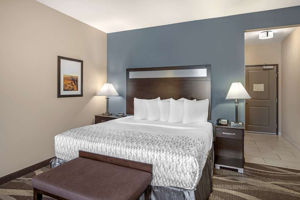 Best Western Plus Lake Jackson Inn & Suites - photo 13