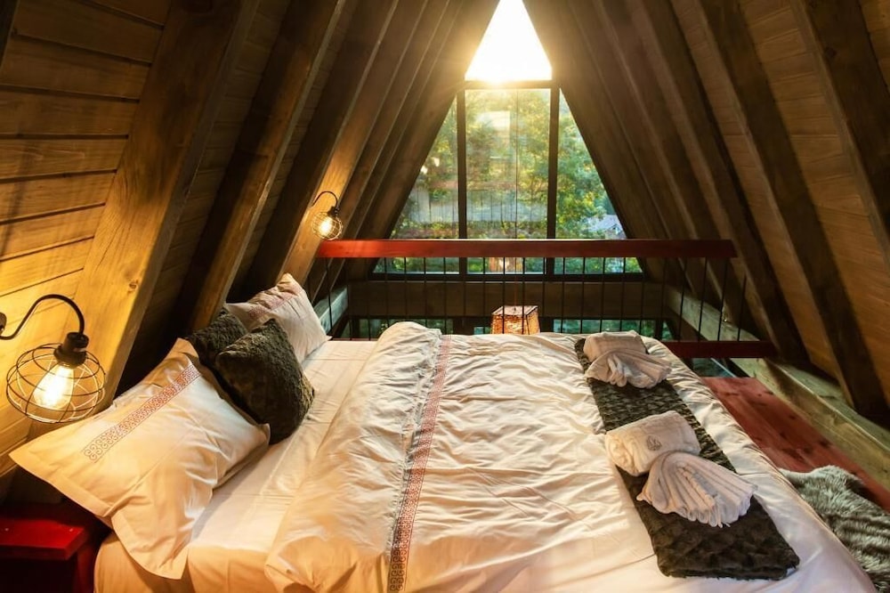 Hai la Munte Bran in Bran, Romania