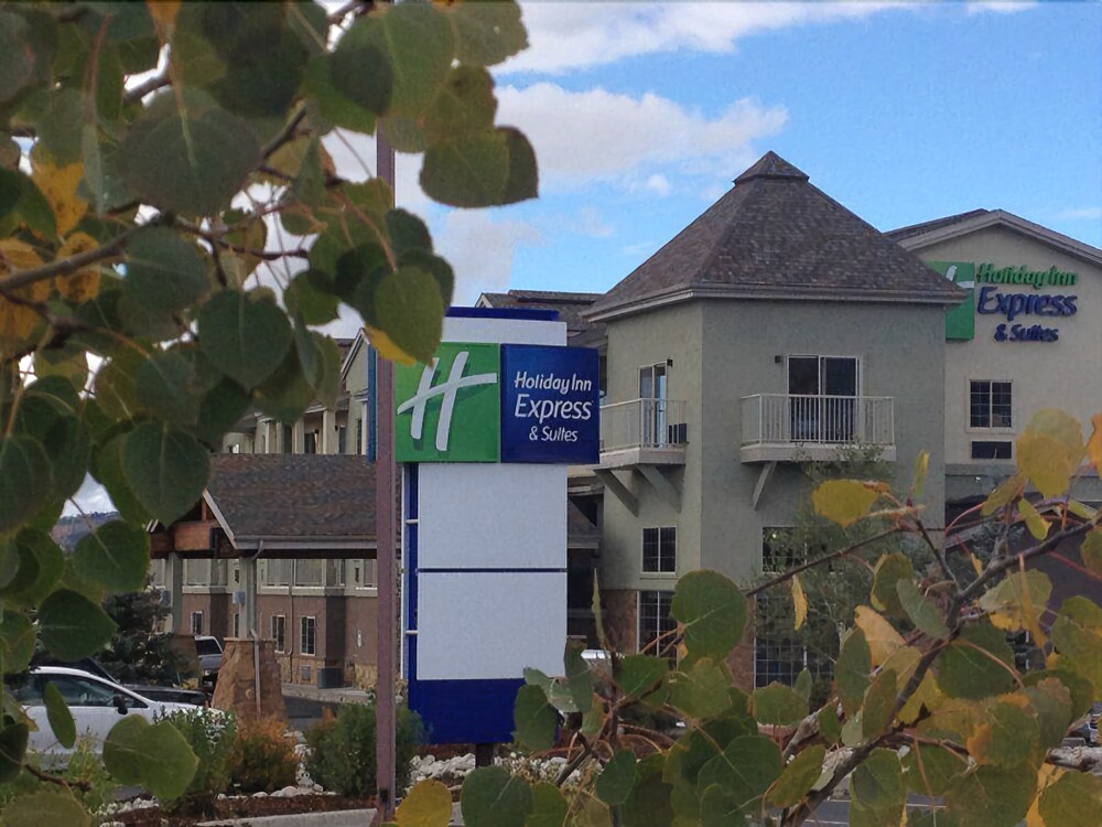 Holiday Inn Express & Suites Fraser Winter Park Area by IHG - photo 41