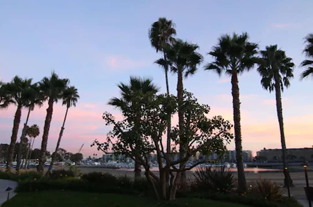 Jamaica Bay Inn Marina Del Rey Tapestry Collection by Hilton - photo 59