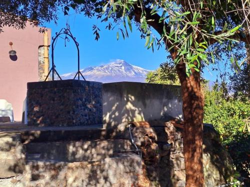 L’aranceto — Acireale — photo 5