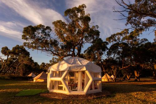 Taj Mahal upgraded Hex bubble - last minute hotel in Unknown City