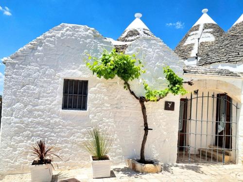 Panoramic Terrace - carbon neutral hotel in Alberobello