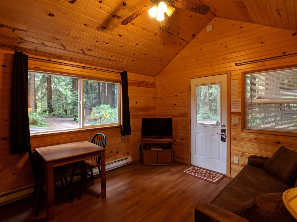 Emerald Forest Cabins - photo 67